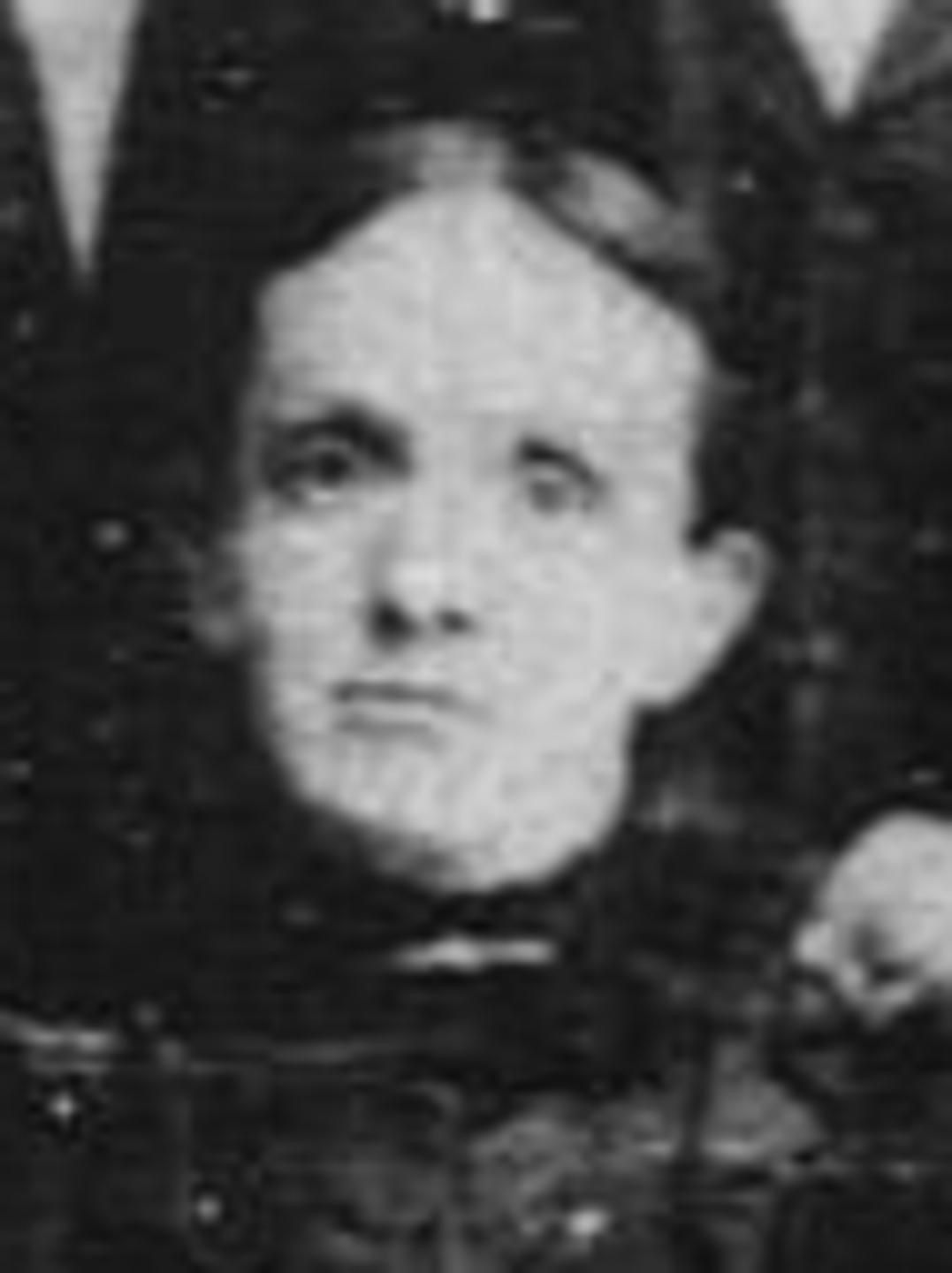 Ellen Westwood (1840 - 1929) Profile